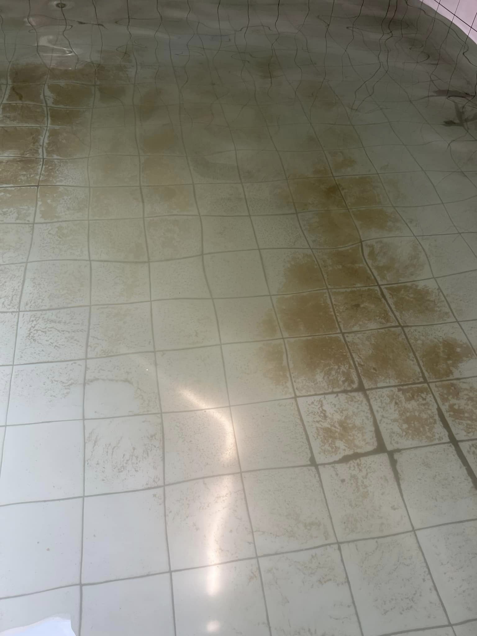 台中沙鹿RC蓄水池清洗